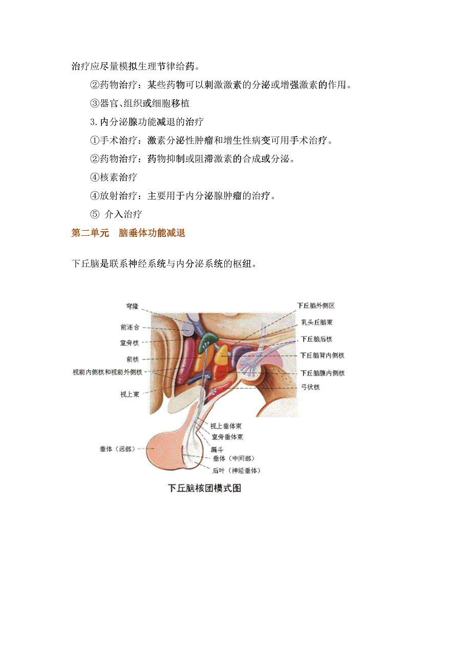 临床执业助理医师内分泌系统_第4页