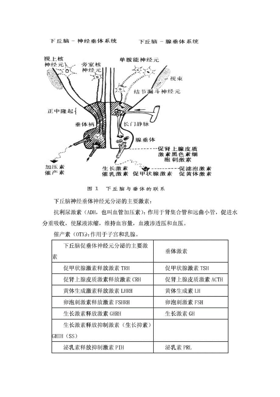 临床执业助理医师内分泌系统_第5页