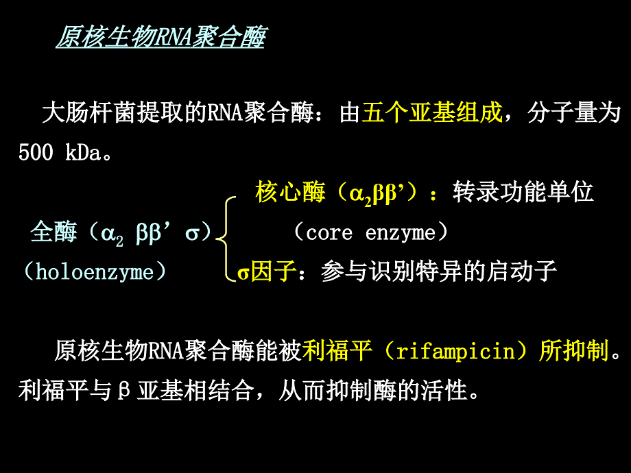 02第2章原核基因表达及其调控_第4页