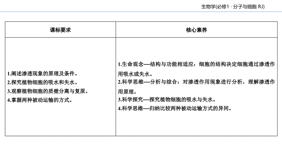 人教版新教材《被动运输》课件_第3页