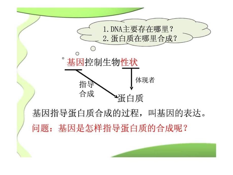 高一生物必修二优质课件基因指导蛋白质的合成_第4页