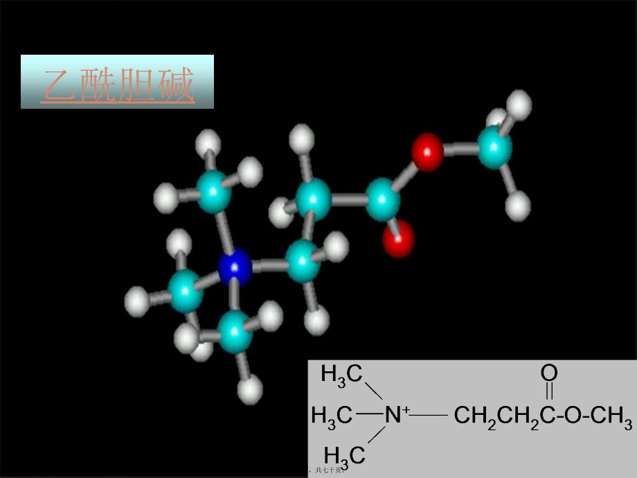 胆碱受体激动剂课件_第3页