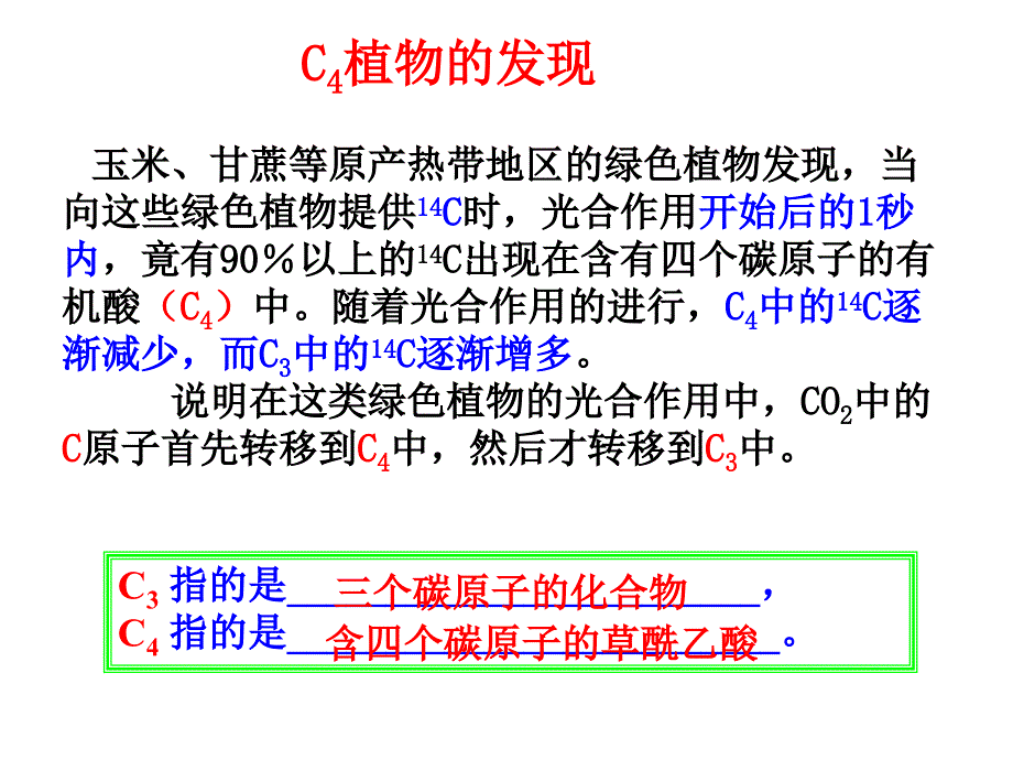 C3植物和C4植物_第4页