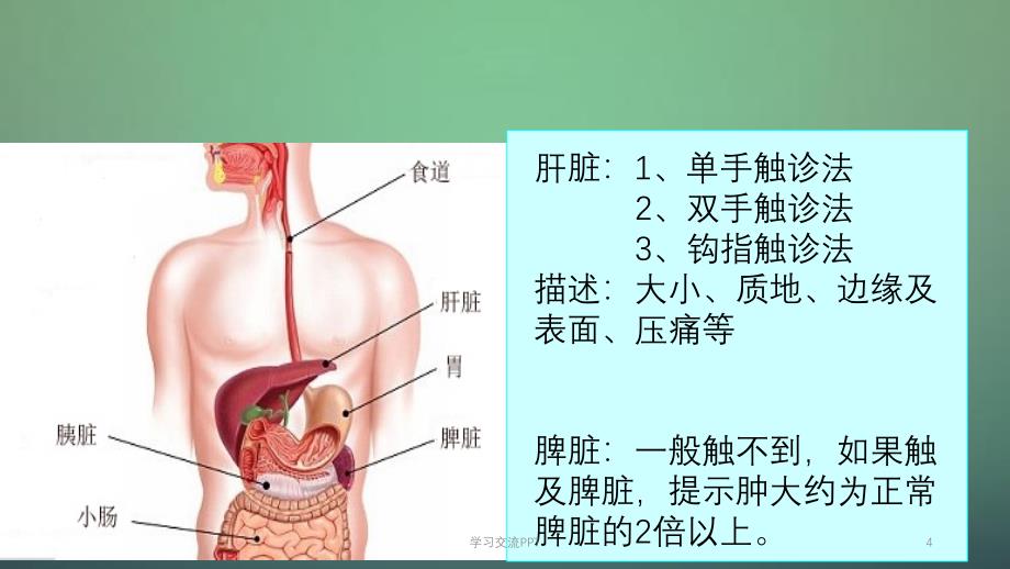 肝脾肿大ppt课件_第4页