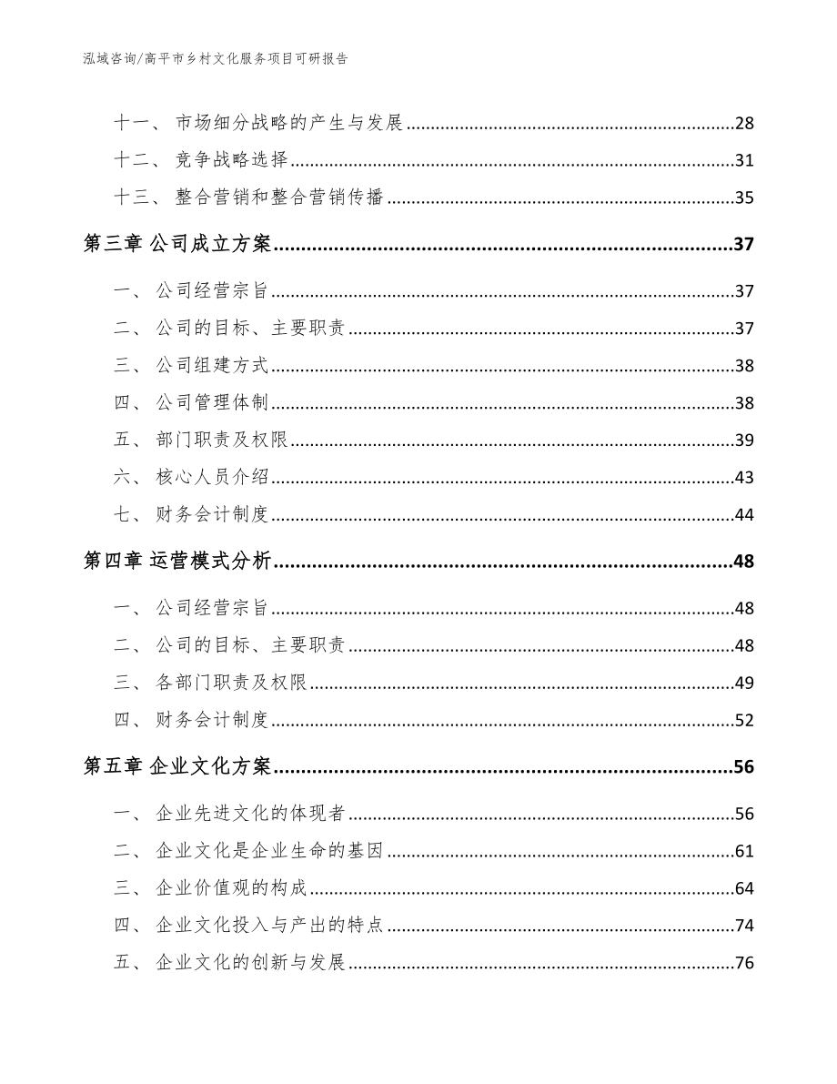 高平市乡村文化服务项目可研报告_第2页