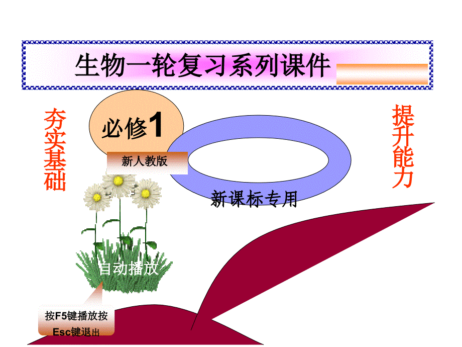 细胞的分化、衰老和凋亡_第1页