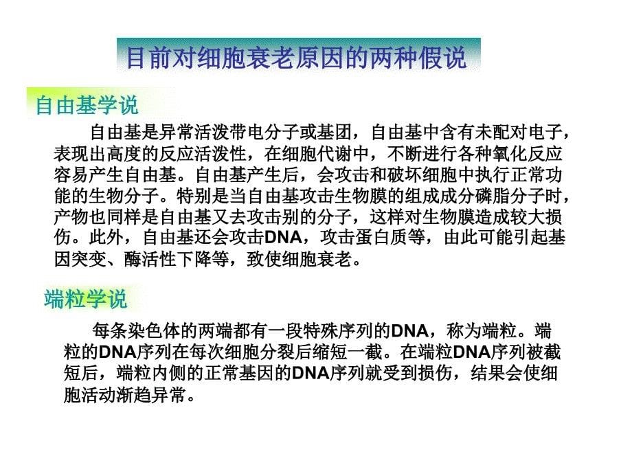 细胞的分化、衰老和凋亡_第5页