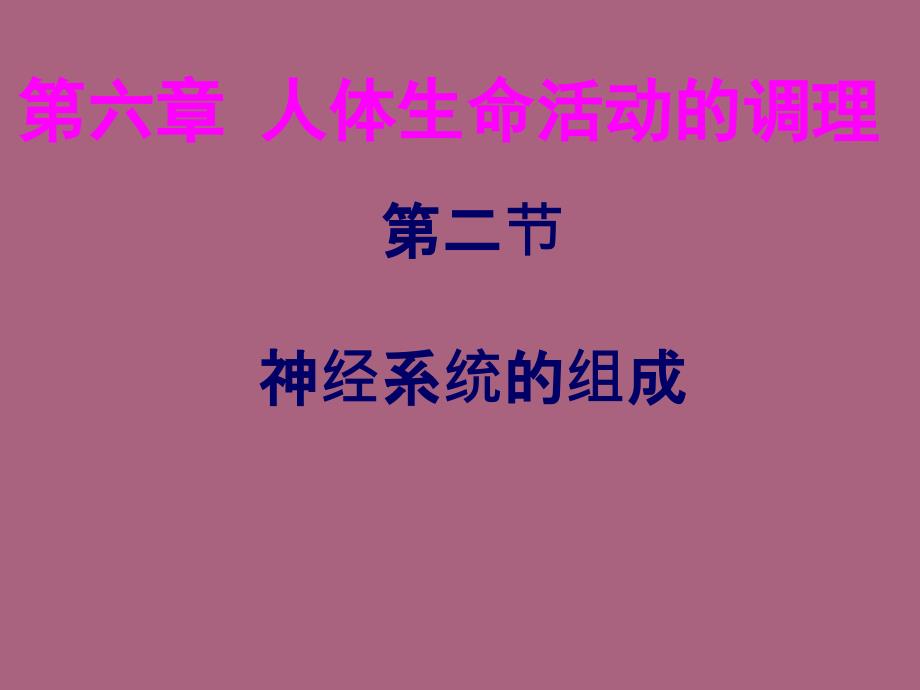 七年级生物下册神经系统的组成人教新课标版4ppt课件_第2页