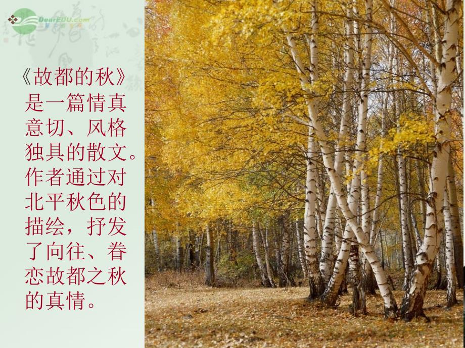 《故都的秋说课》PPT课件.ppt_第3页