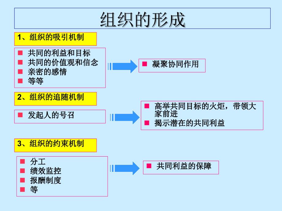 组织知识学习课件_第4页