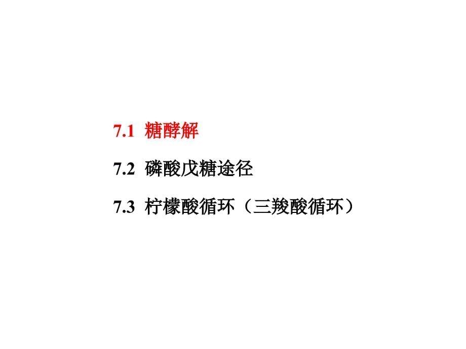 7糖的分解代谢1_第5页