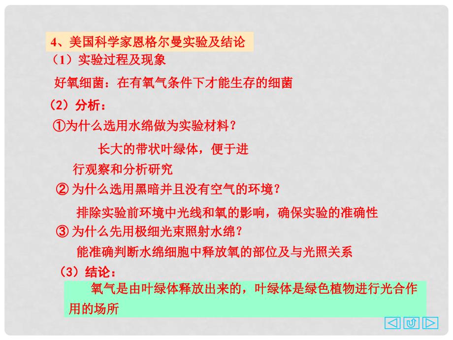 高中生物： 42 光合作用（课件）苏教版必修1_第4页