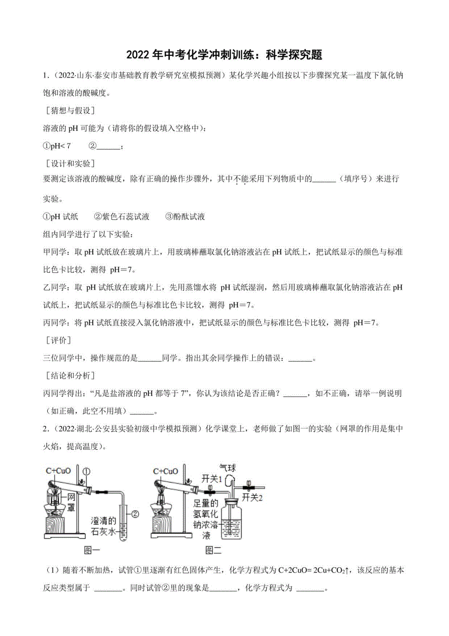 2022年中考化学冲刺训练专题科学探究题_第1页