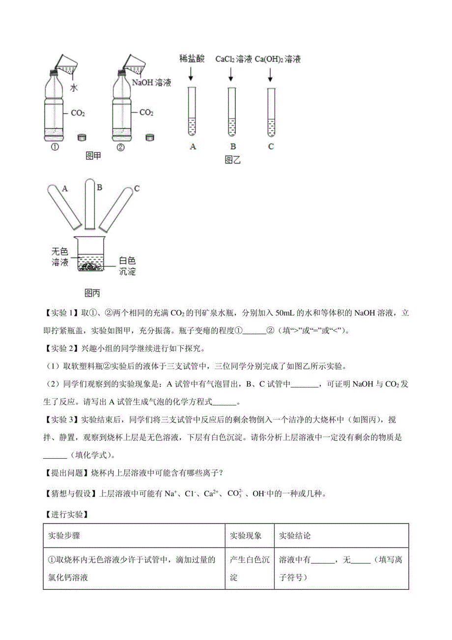 2022年中考化学冲刺训练专题科学探究题_第3页