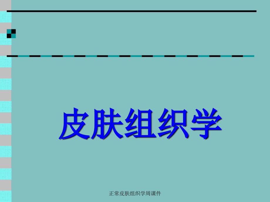 正常皮肤组织学周课件_第1页