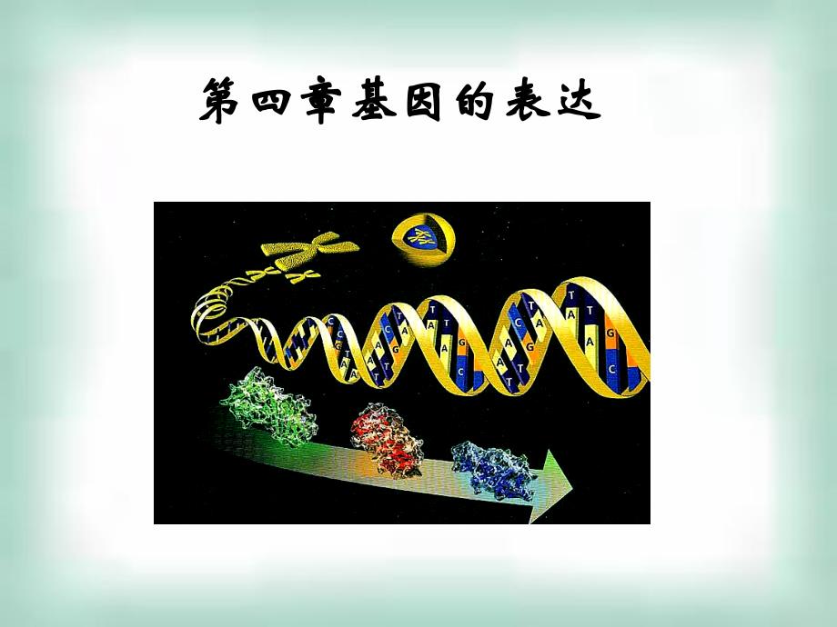 高中生物《41基因指导蛋白质的合成》课件新人教版必修2_第1页