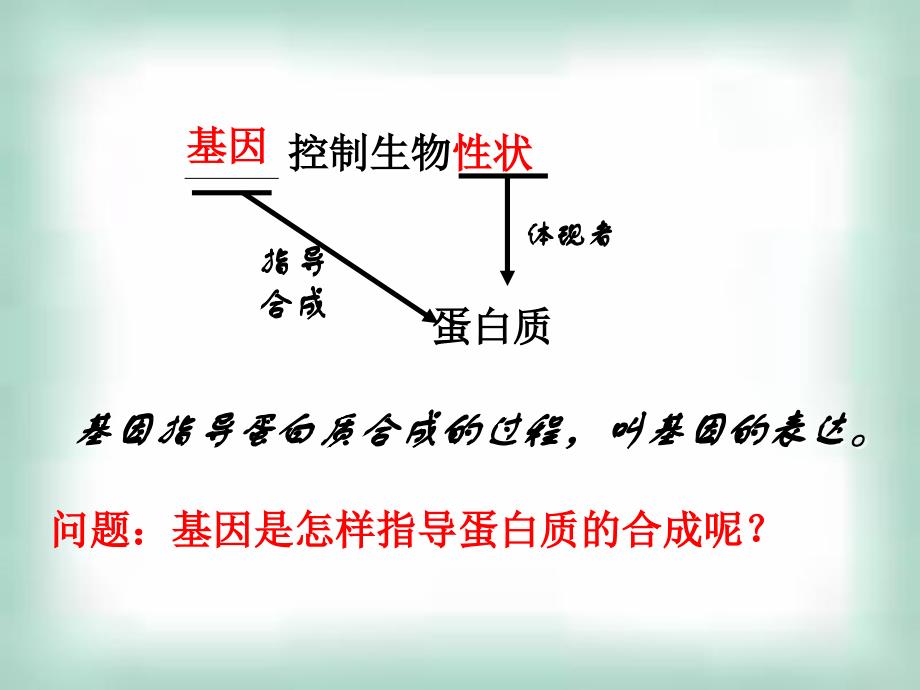 高中生物《41基因指导蛋白质的合成》课件新人教版必修2_第3页