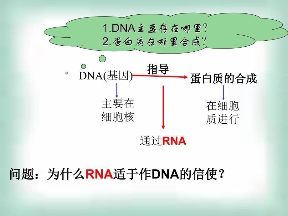 高中生物《41基因指导蛋白质的合成》课件新人教版必修2_第5页