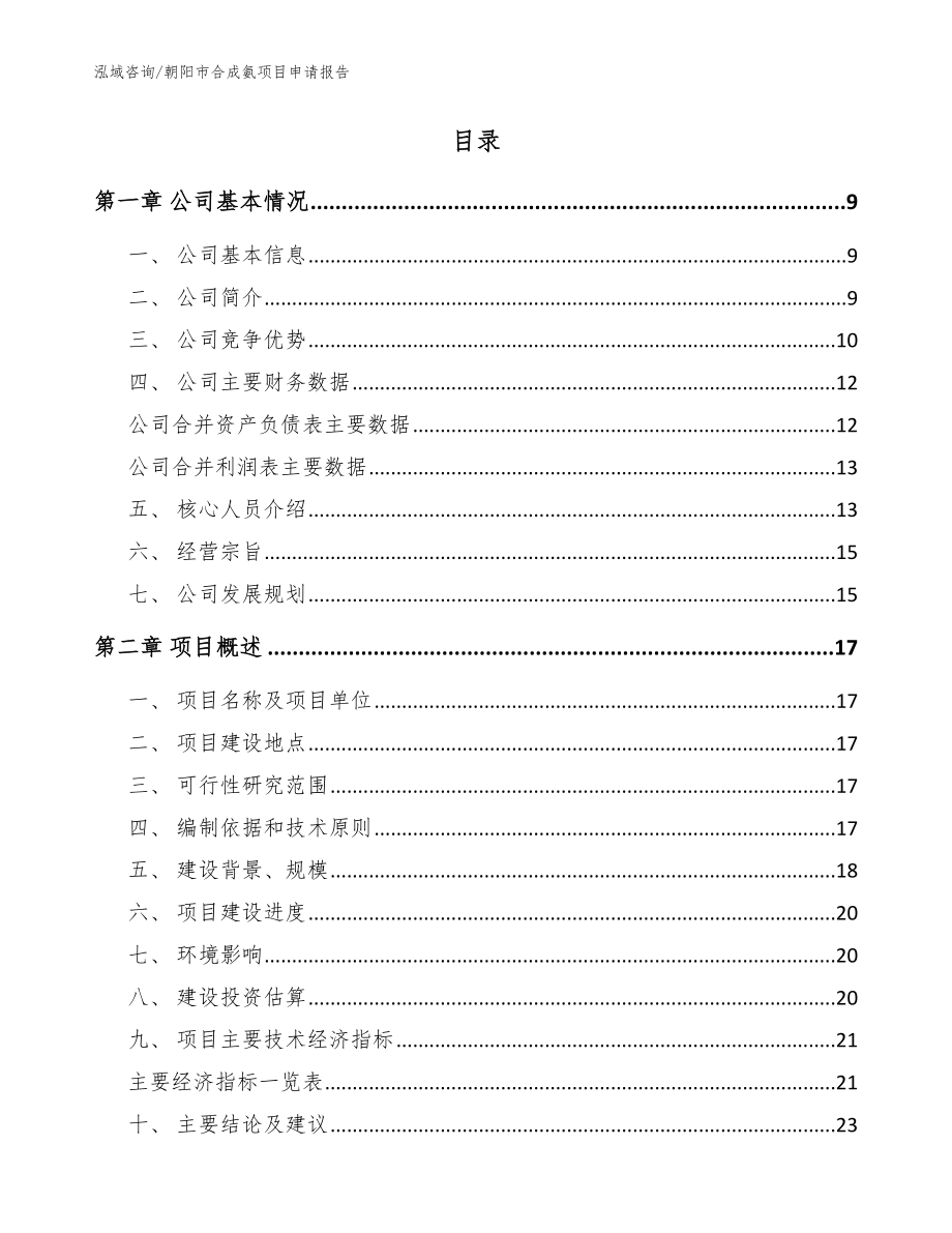 朝阳市合成氨项目申请报告_模板_第2页
