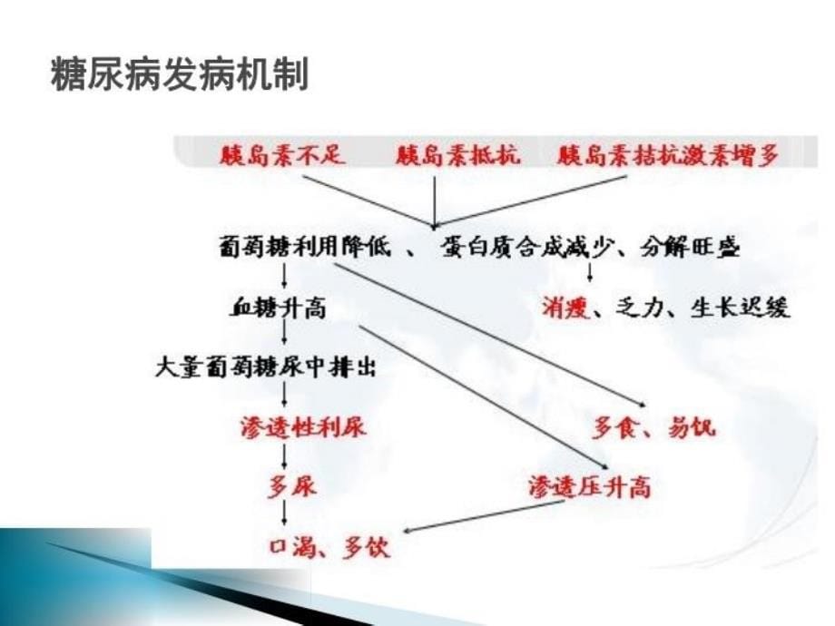 最新干细胞与糖尿病及度糖尿病治疗情况总结ppt课件_第5页