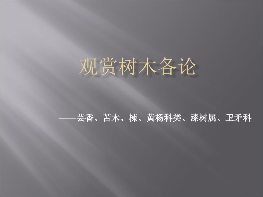 观赏树木各论芸香科苦木楝黄杨科ppt课件教学教程_第1页