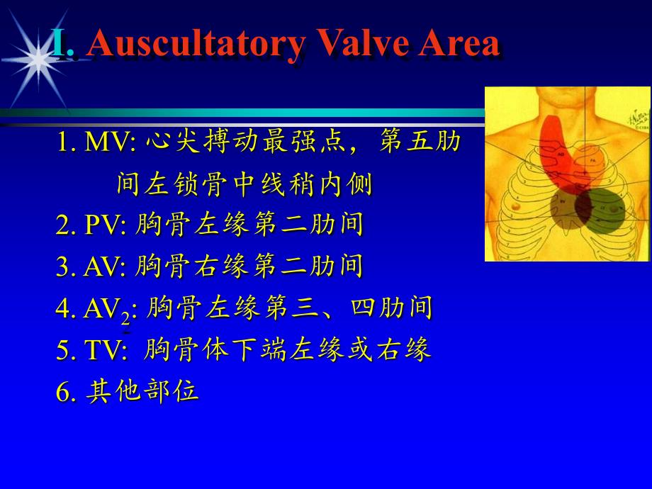 心血管系统课件：Auscultation of the Heart_第2页