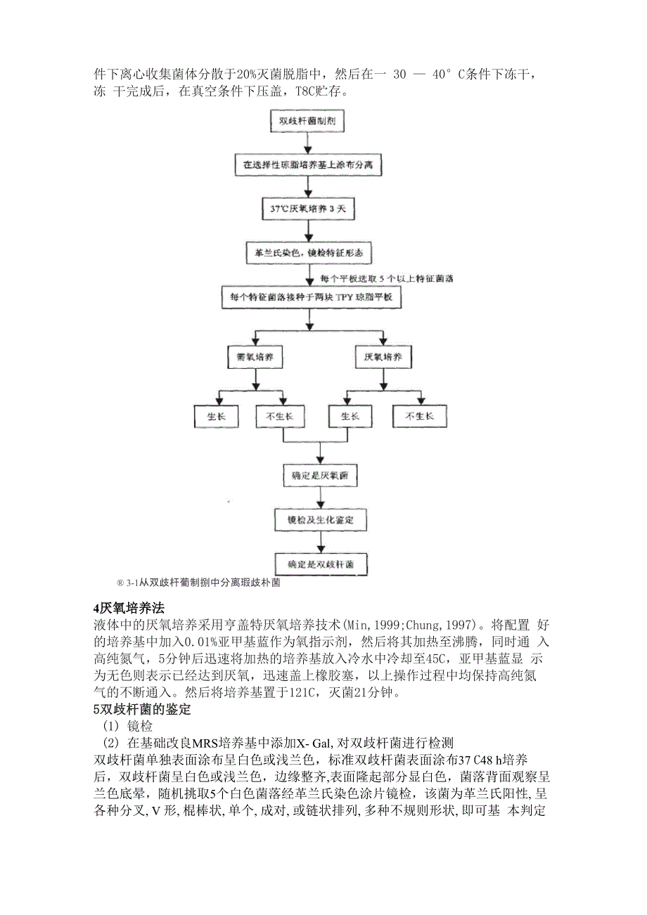 双歧杆菌分离培养鉴定_第2页