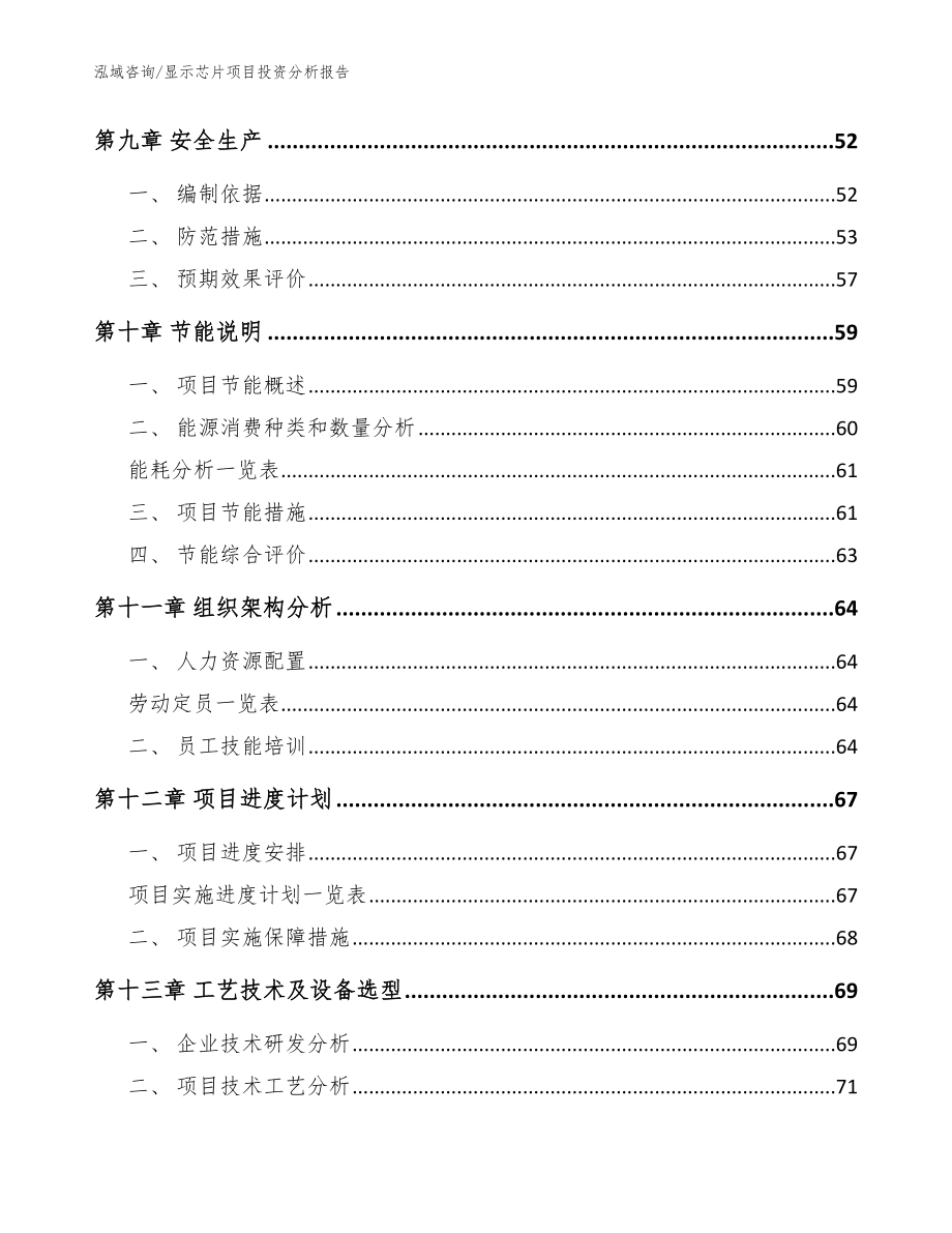 显示芯片项目投资分析报告【范文模板】_第3页