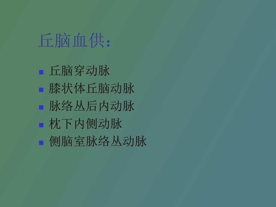 丘脑结构及功能_第5页