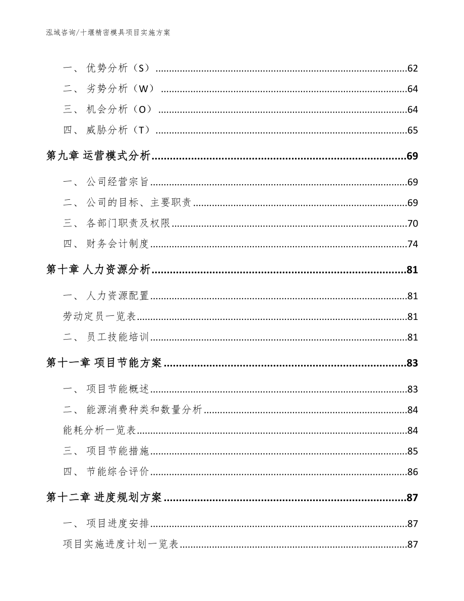 十堰精密模具项目实施方案_第4页