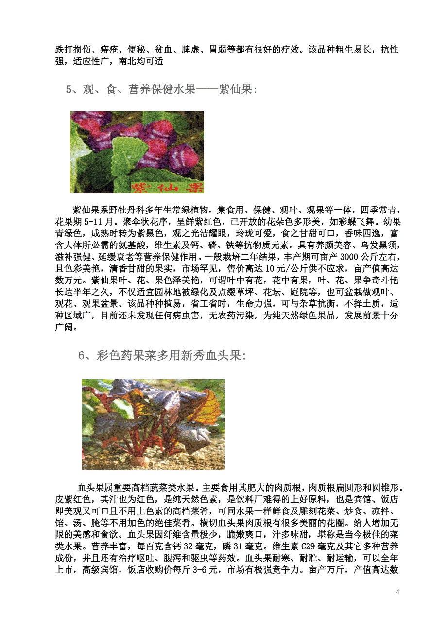 健康养生植物园求合作.doc_第4页