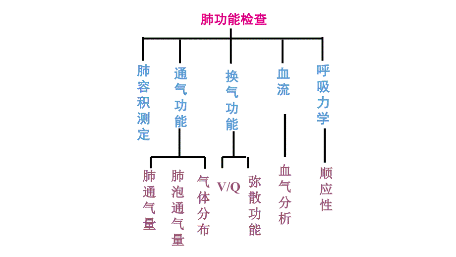 肺功能检查ppt课件_第3页