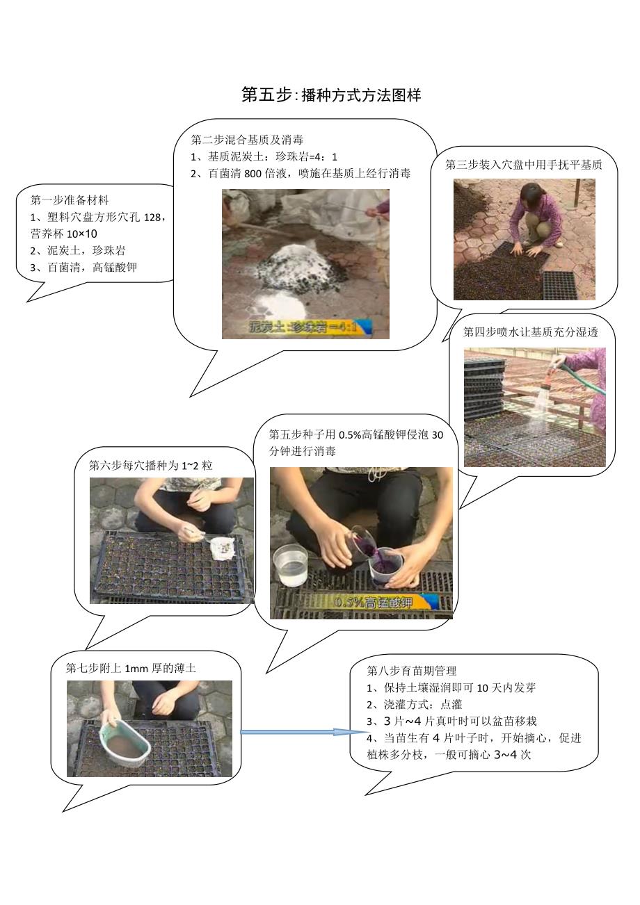 有机种植技术方案_第4页