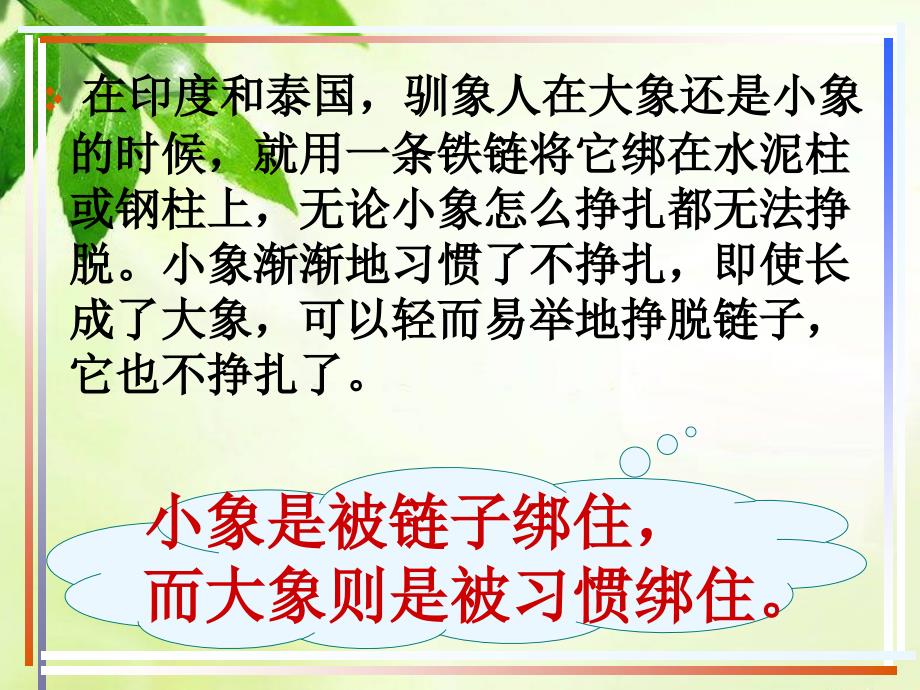 中学生行为习惯的养成教育.PPT.讲课教案_第2页