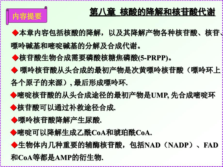 第8章核酸的降解和核苷酸代谢1_第3页