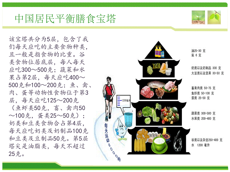 高中生物必修一课件_第2页