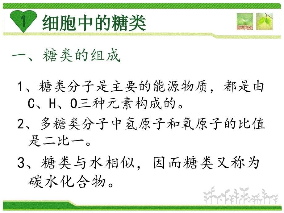 高中生物必修一课件_第5页