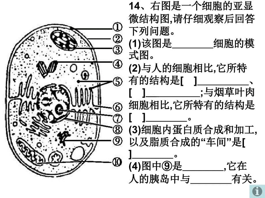 习题课细胞的基本结构精选文档_第5页