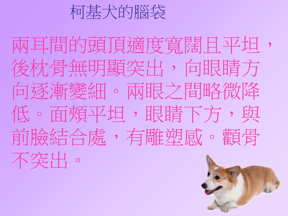 柯基犬饲养要点课件_第2页