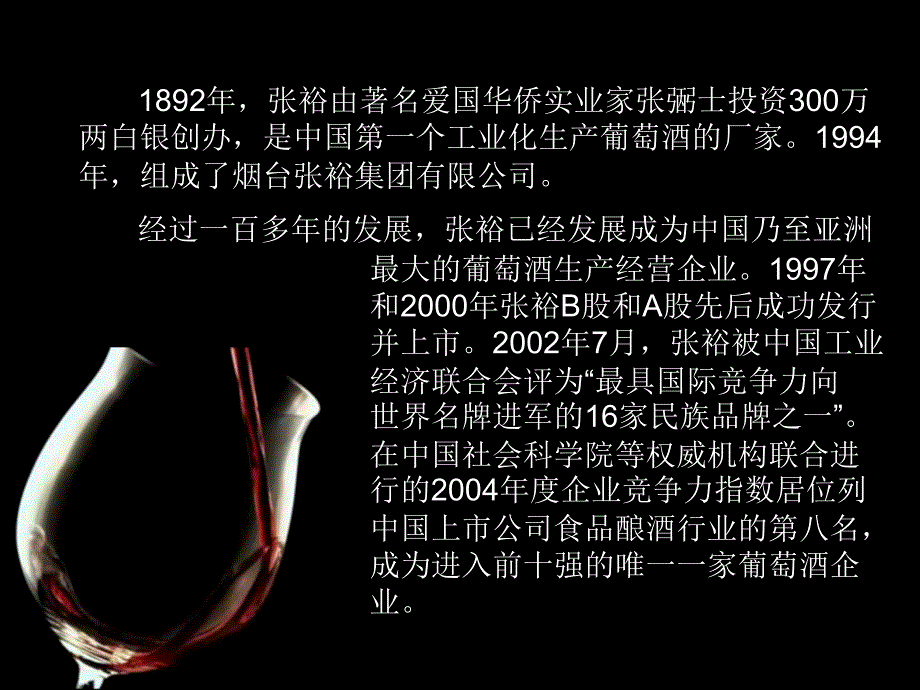 张裕财务报表分析_第3页