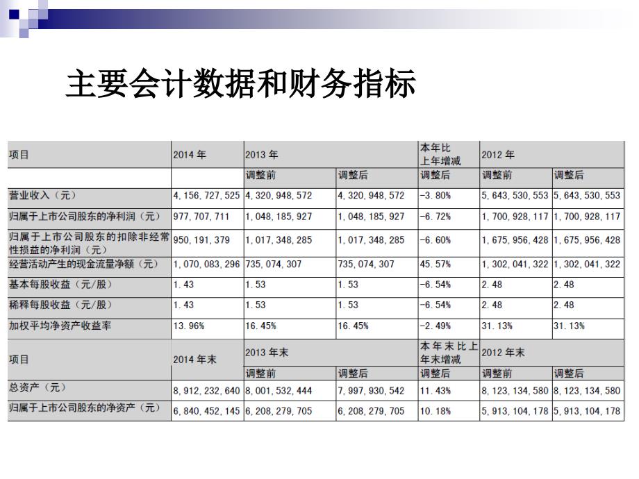 张裕财务报表分析_第4页