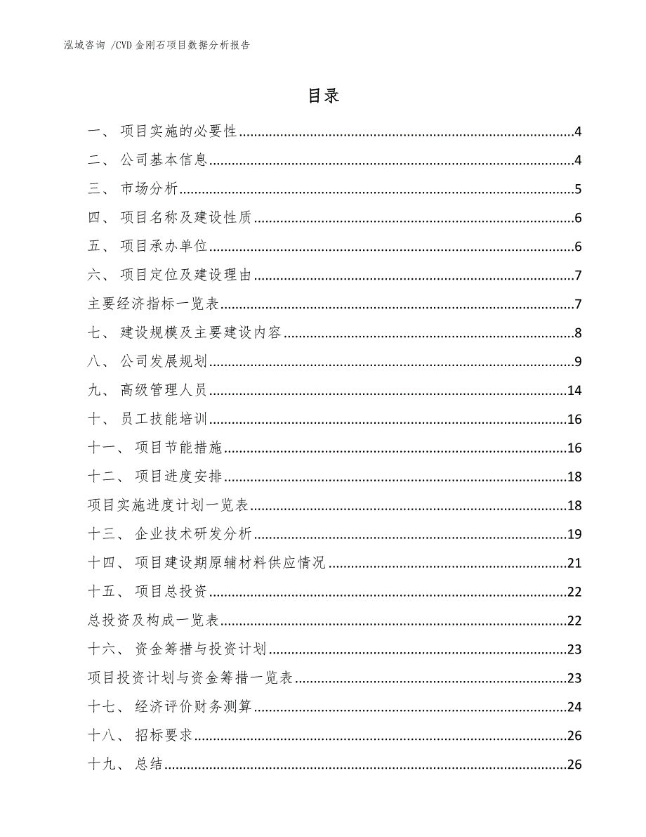 CVD金刚石项目数据分析报告（模板）_第2页