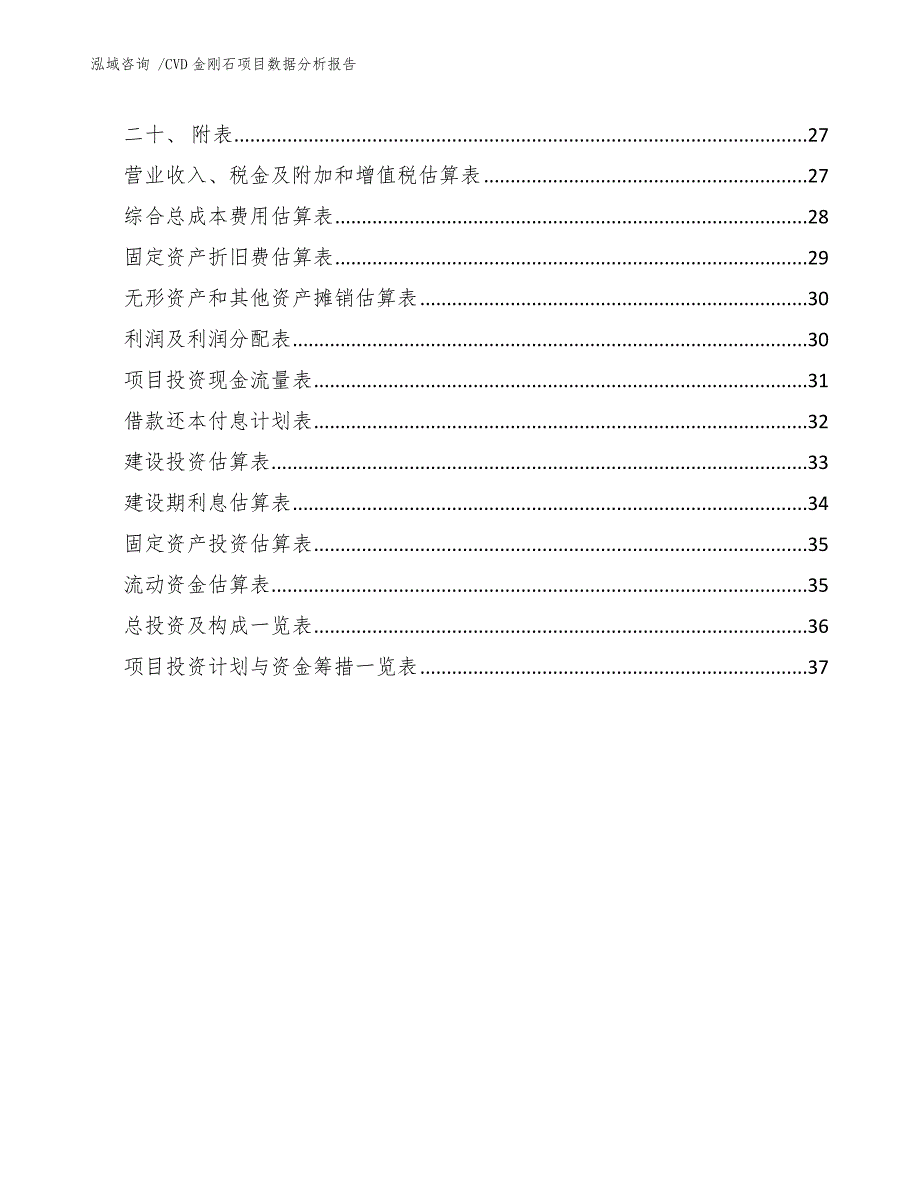 CVD金刚石项目数据分析报告（模板）_第3页