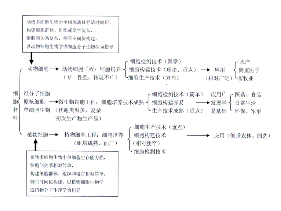 细胞工程第4章1动物细胞培养工程4_第3页