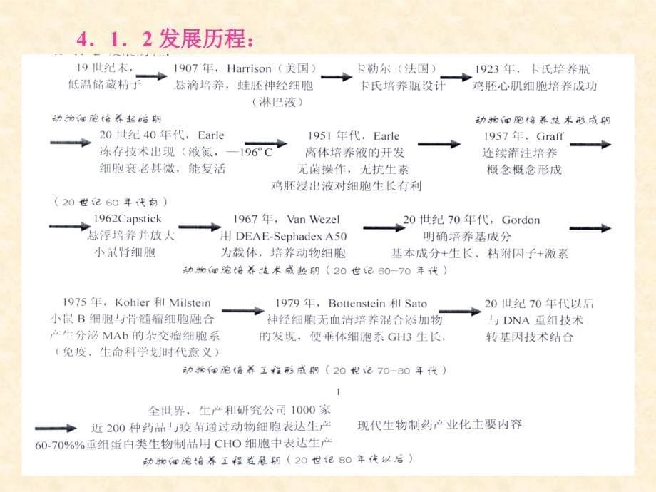 细胞工程第4章1动物细胞培养工程4_第5页