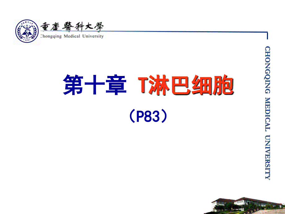 医学免疫学：第10章 T淋巴细胞_第1页