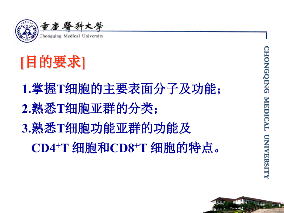 医学免疫学：第10章 T淋巴细胞_第2页