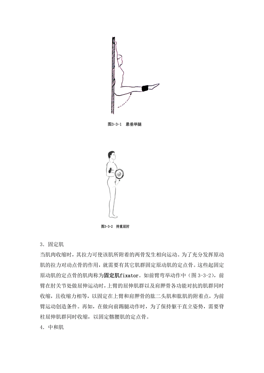 第三节人体运动的解剖学分析.doc_第3页