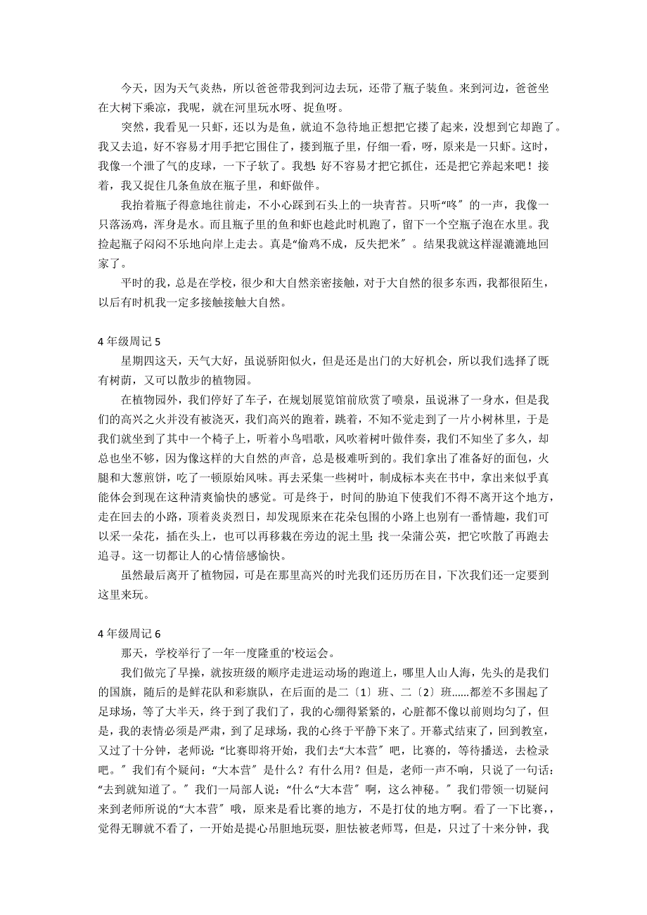 4年级周记6篇 四年级周记_第2页