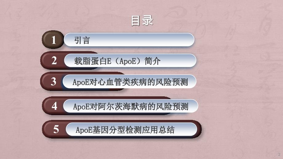 ApoE基因分型检测ppt课件_第2页